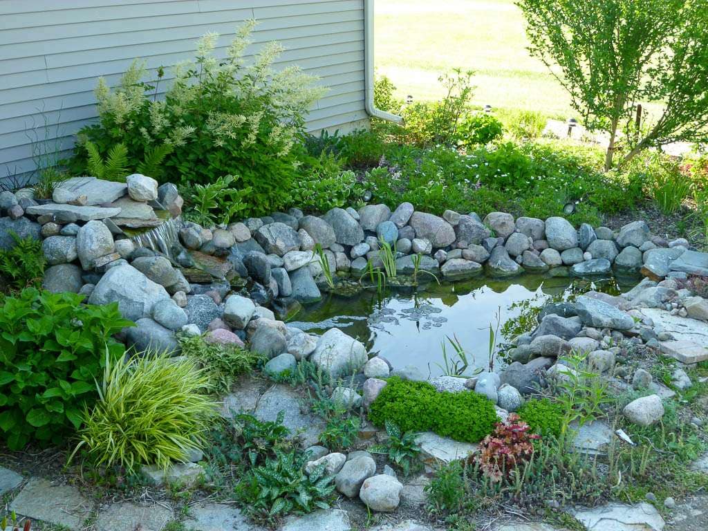 Pond-20 pond after cleanup