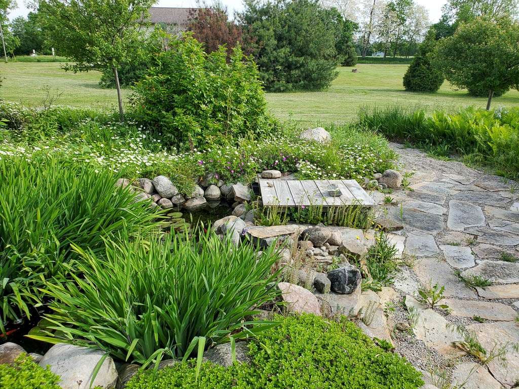 pond in 2022