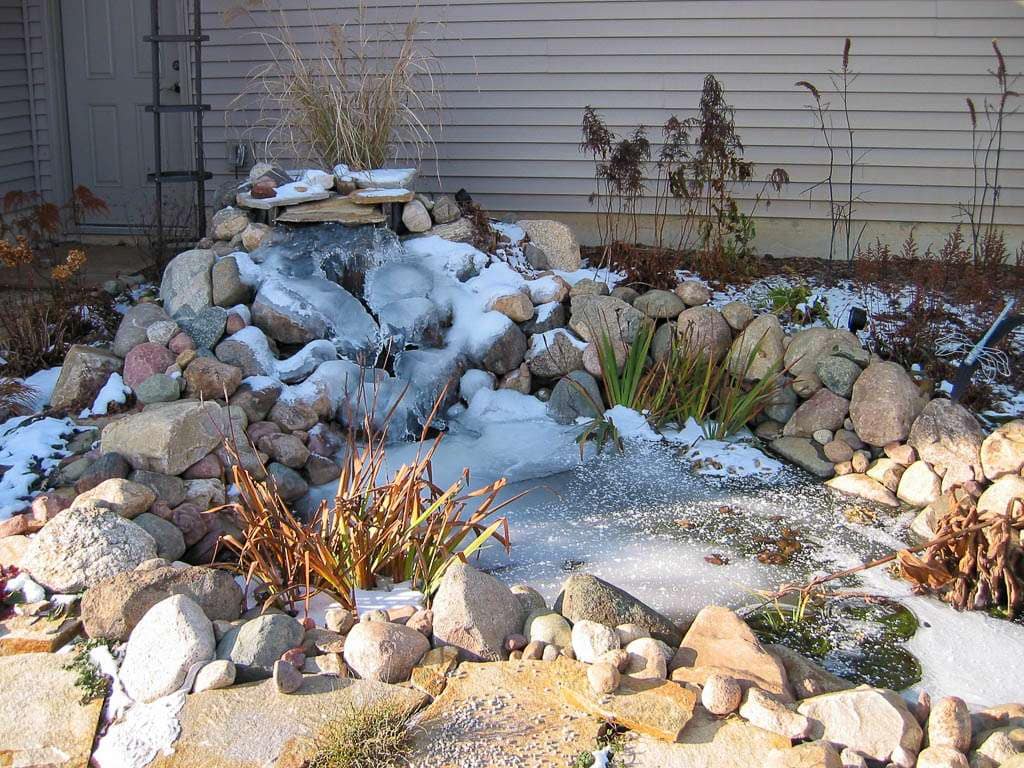 pond in winter