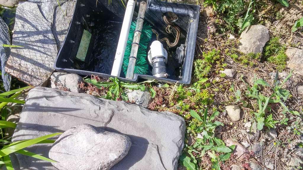 Pond-28 skimmer