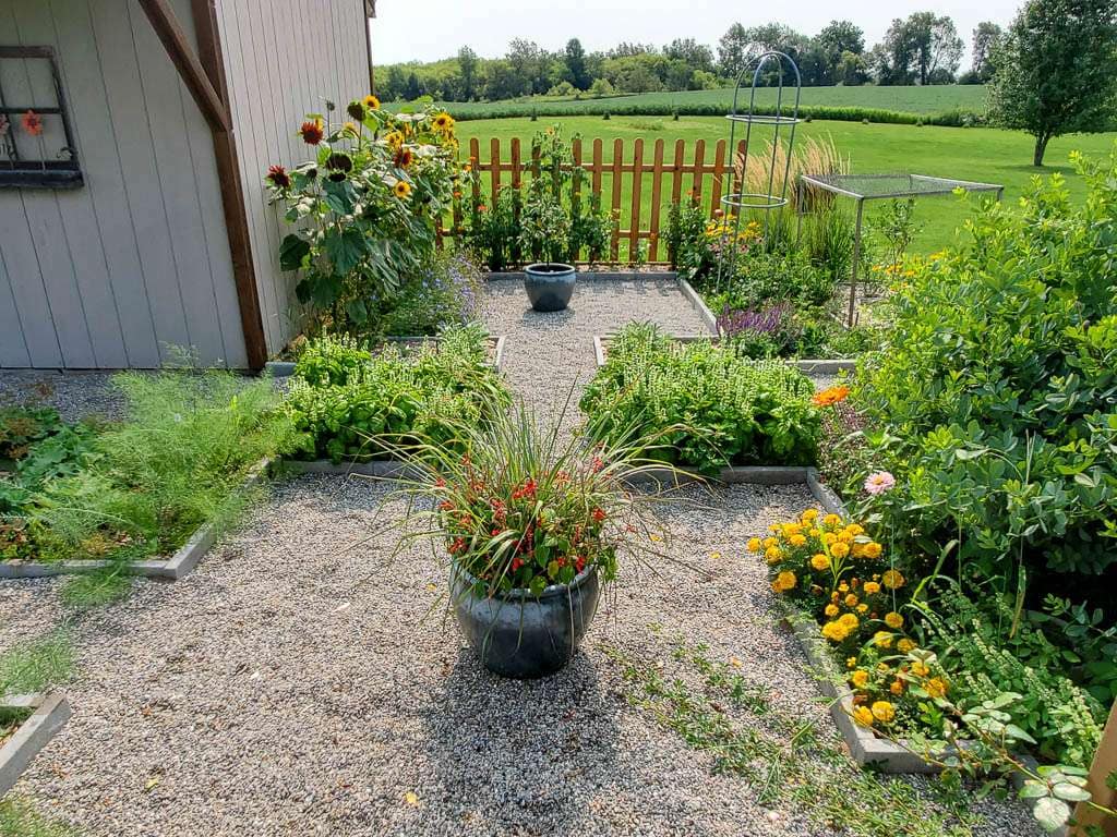 view from inside pergola