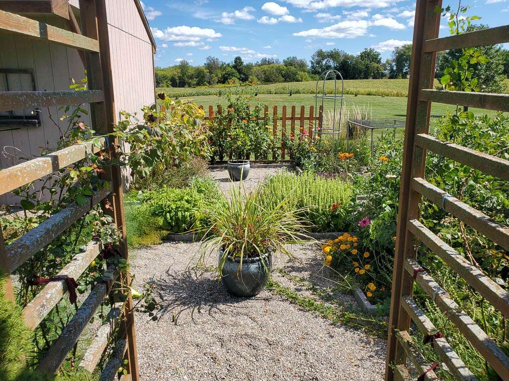 view from pergola