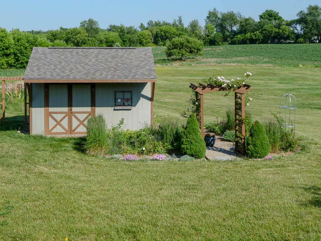 Herb-23 ornamental grass second phase