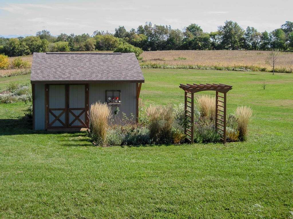 Herb-24 ornamental grass third phase