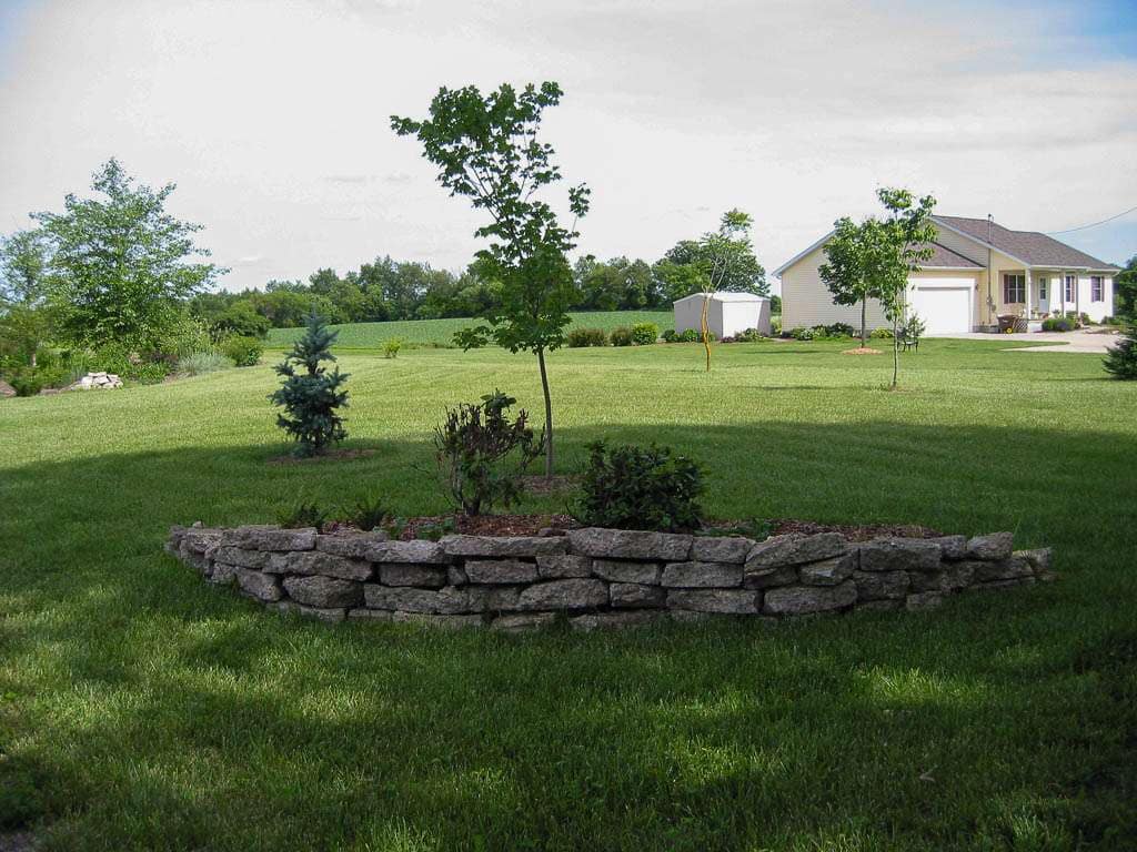 small shrubs and trees in lawn