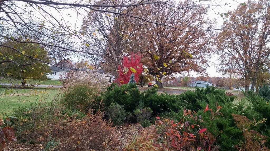 fall