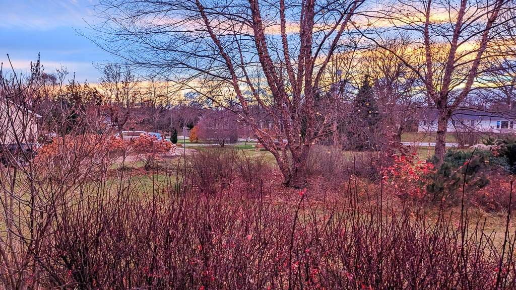 later fall