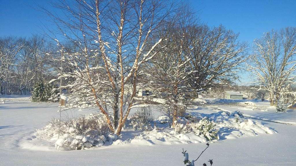 winter