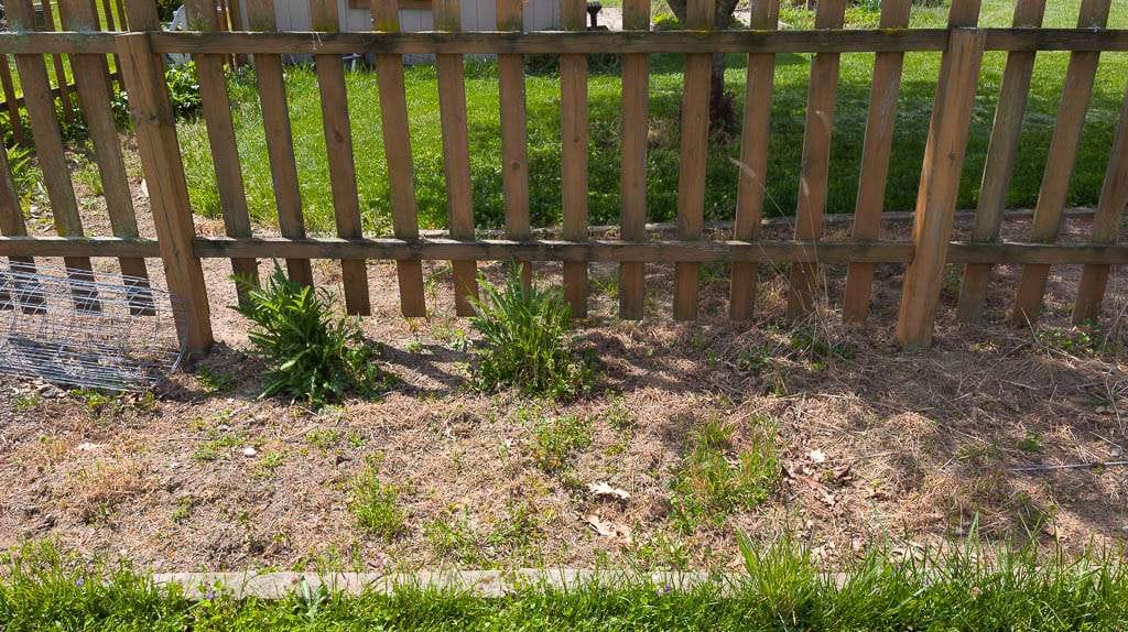 May2026-03 brown fence with green foliage