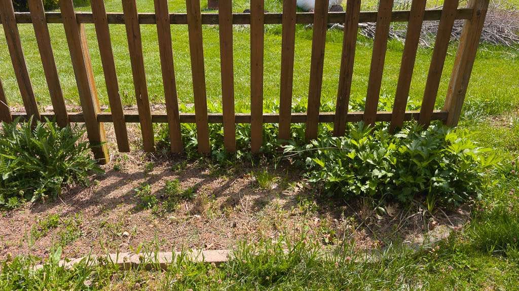 May2026-04 brown fence with green foliage