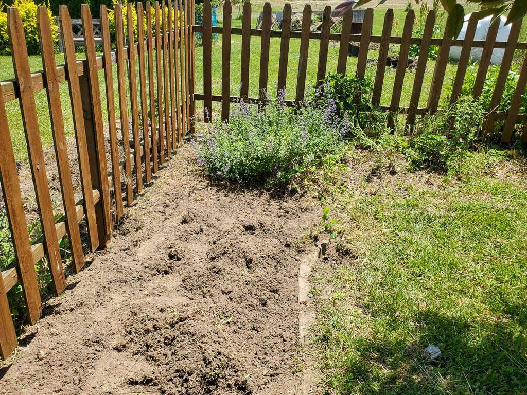 Perennial-04 wood fence with bare dirt and a few plants