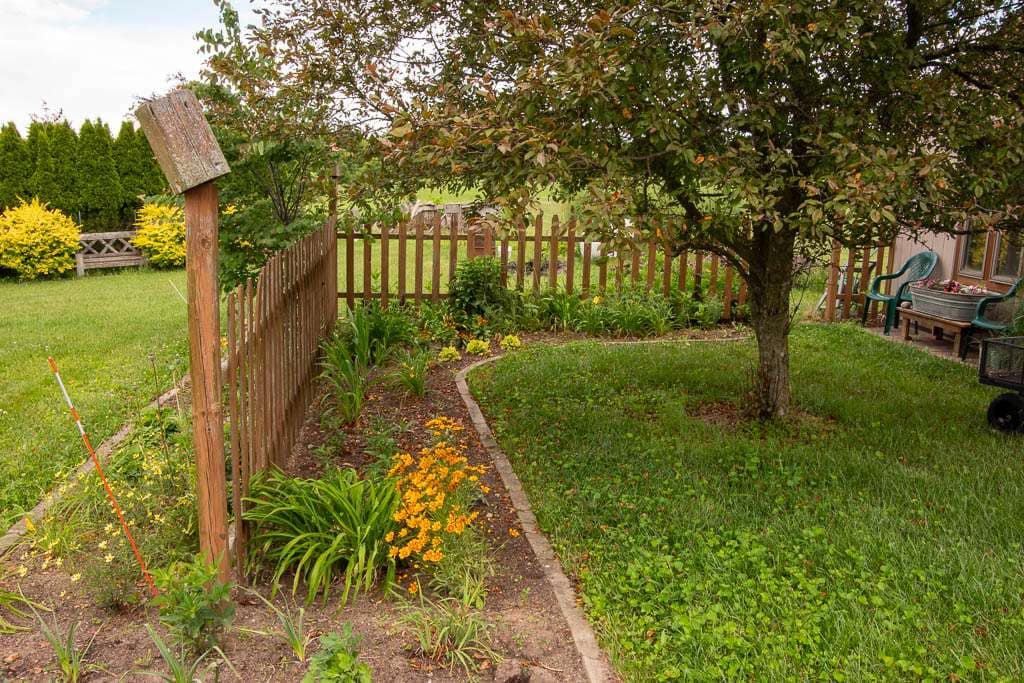 Perennial-06 wood fence and tree with orange flowers