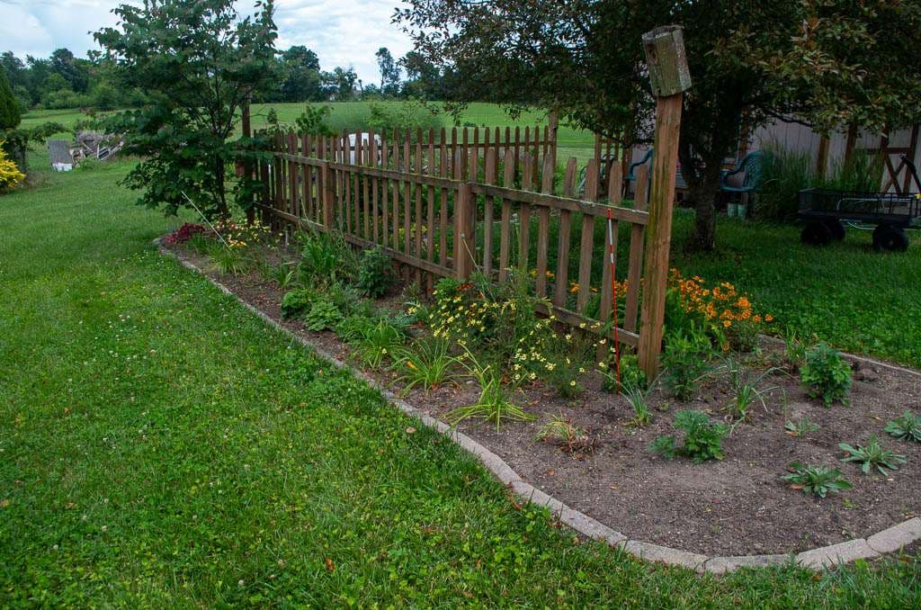 Perennial-07 wood fence with perennial plants on all sides