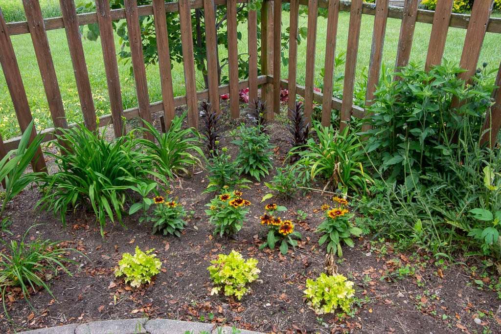 Perennial-08 wood fence with perennial plants in front