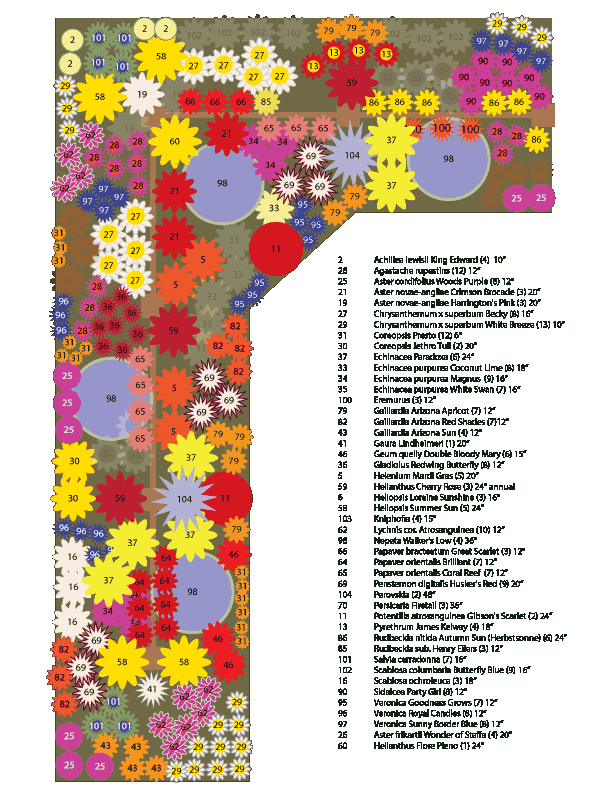 Plan-2013 garden plan