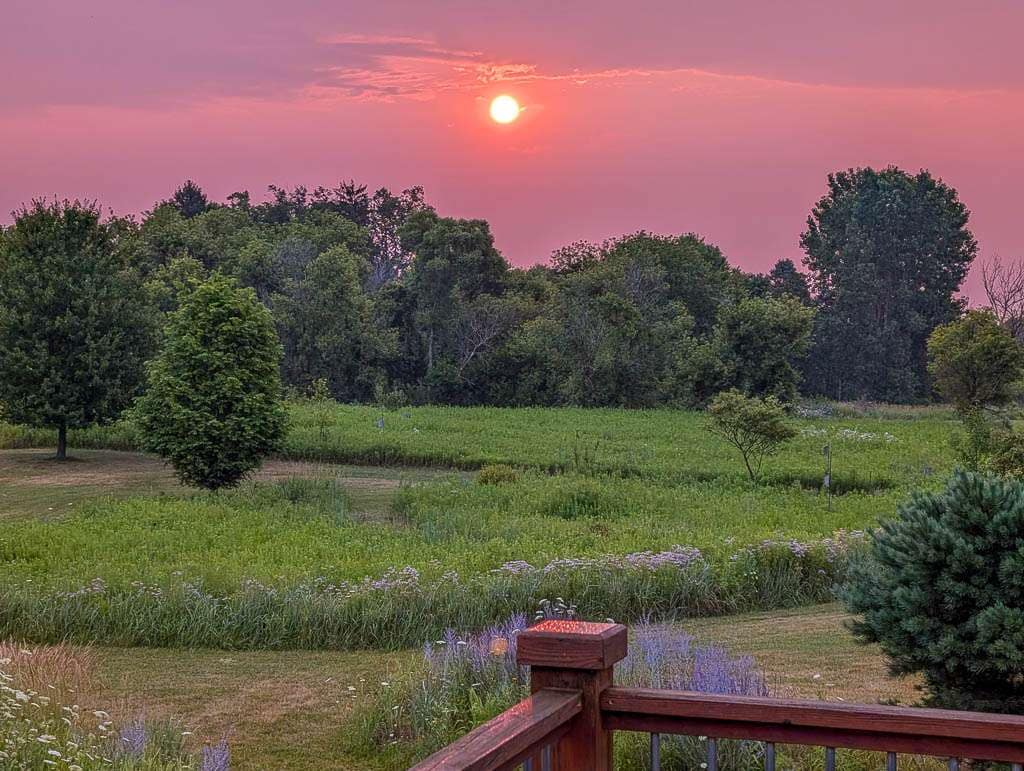 2026-07-09 purple sunrise