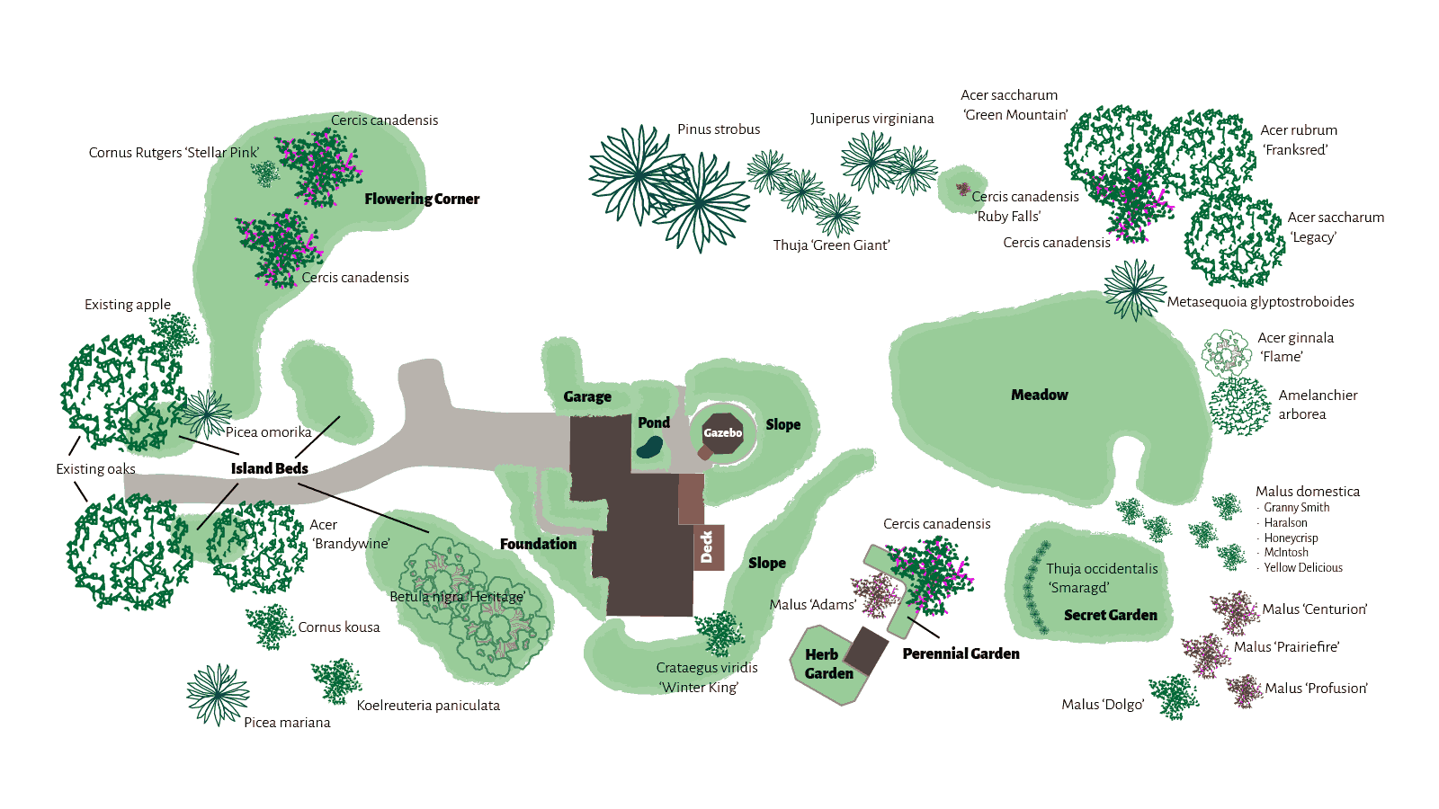 Lot garden plan of lot