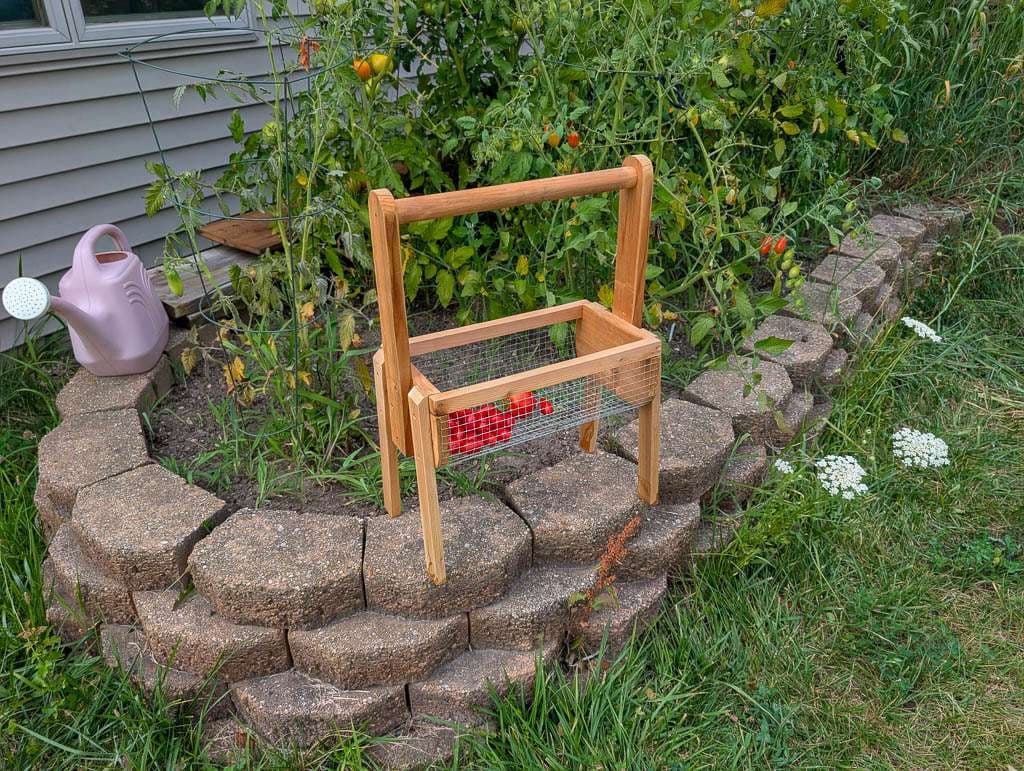 raised bed with watering can and harvest basket