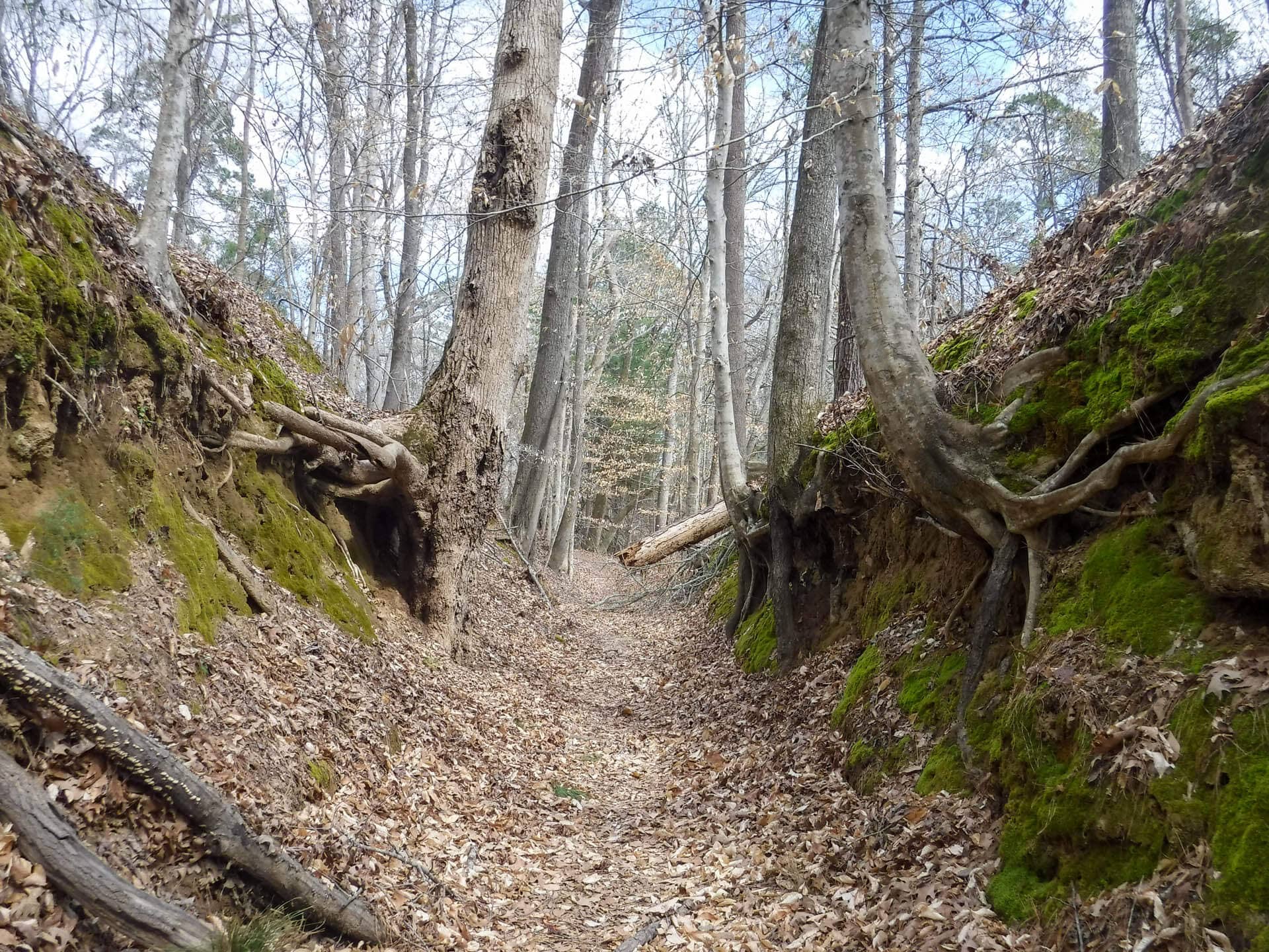 Natchez Trace and the Gulf - 1streetover travel blog