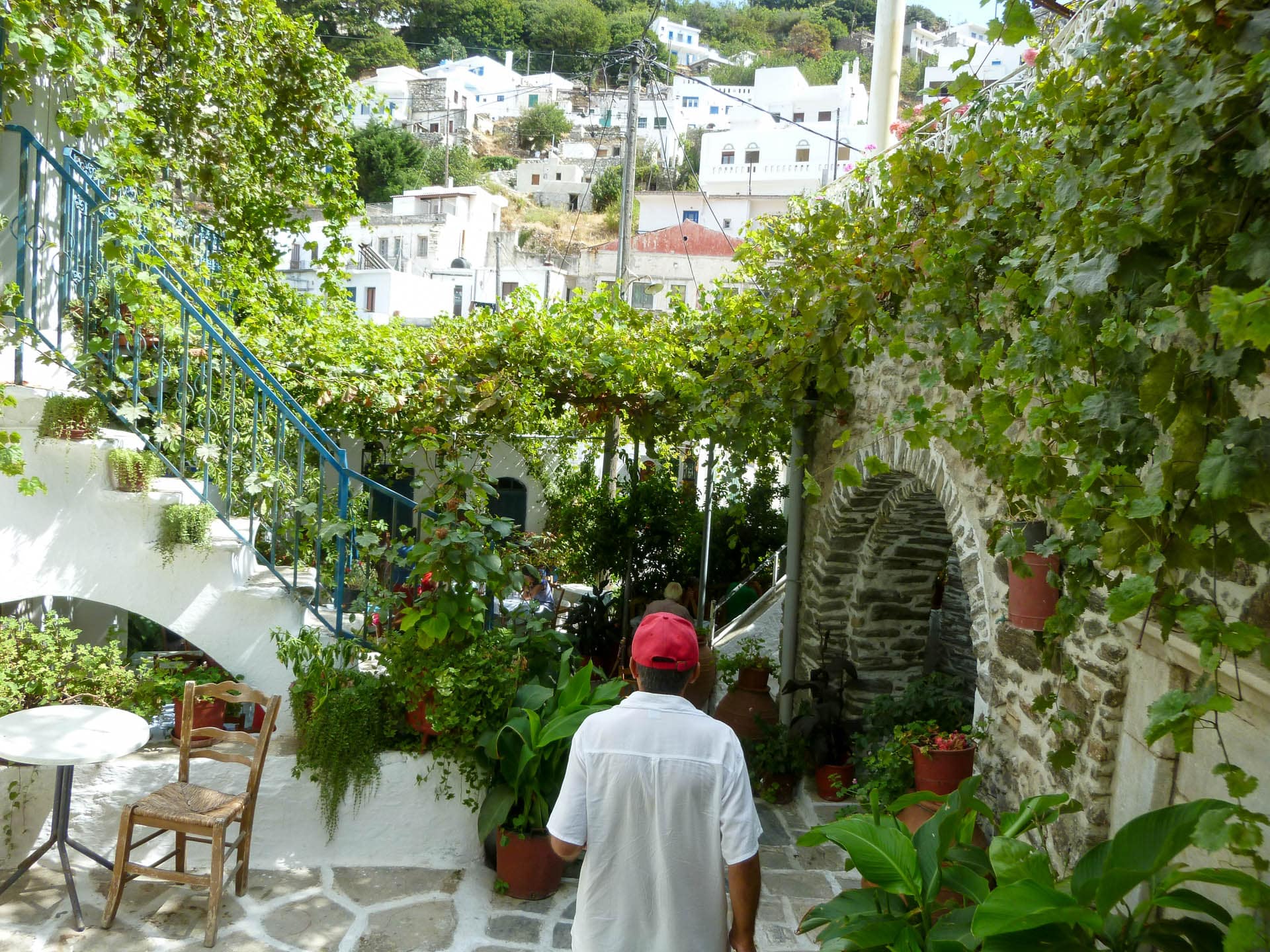 taverna