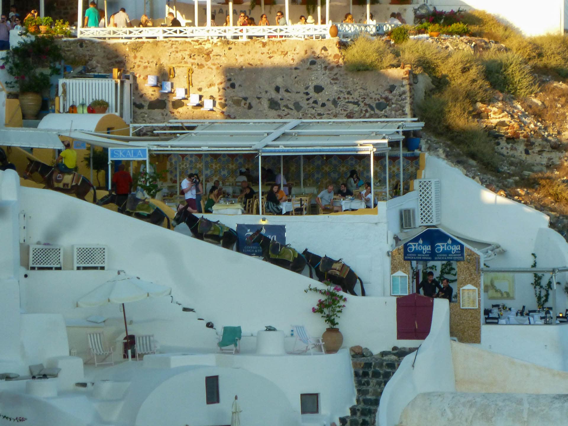 Donkeys in Oia