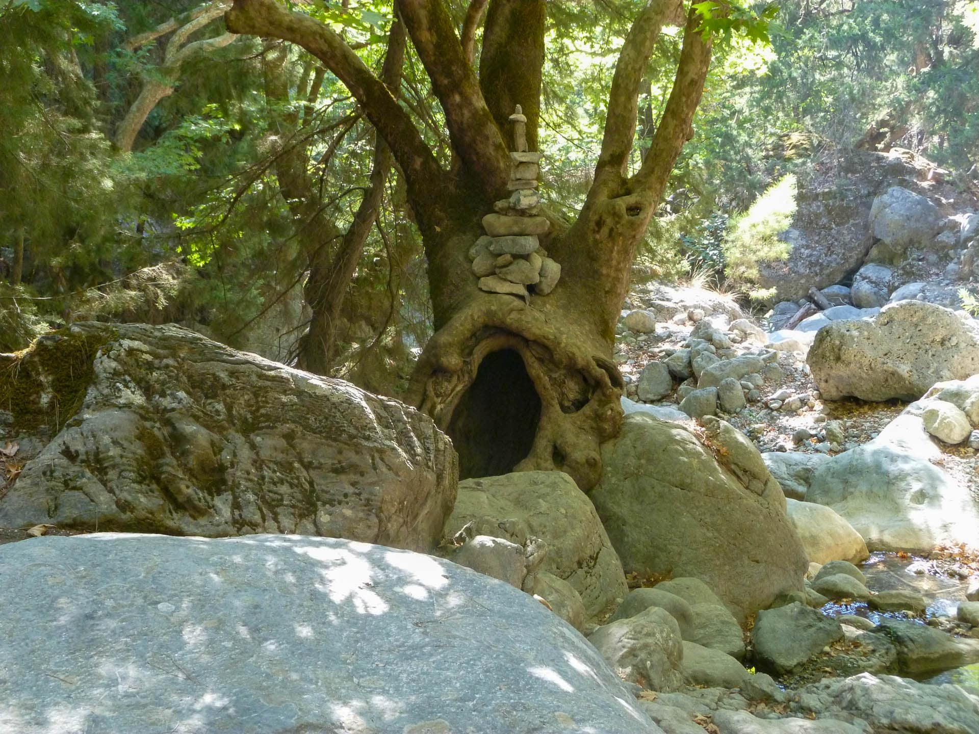 cairn in tree