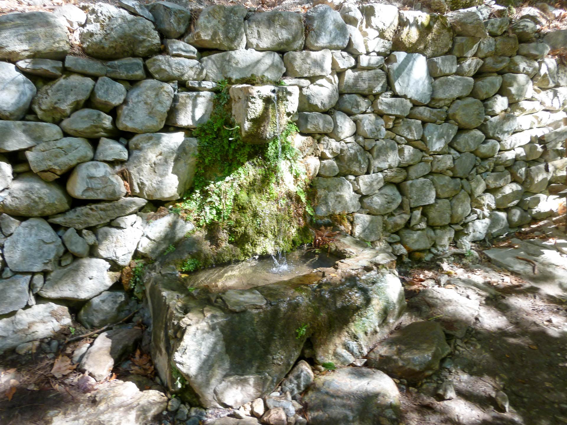 water refill