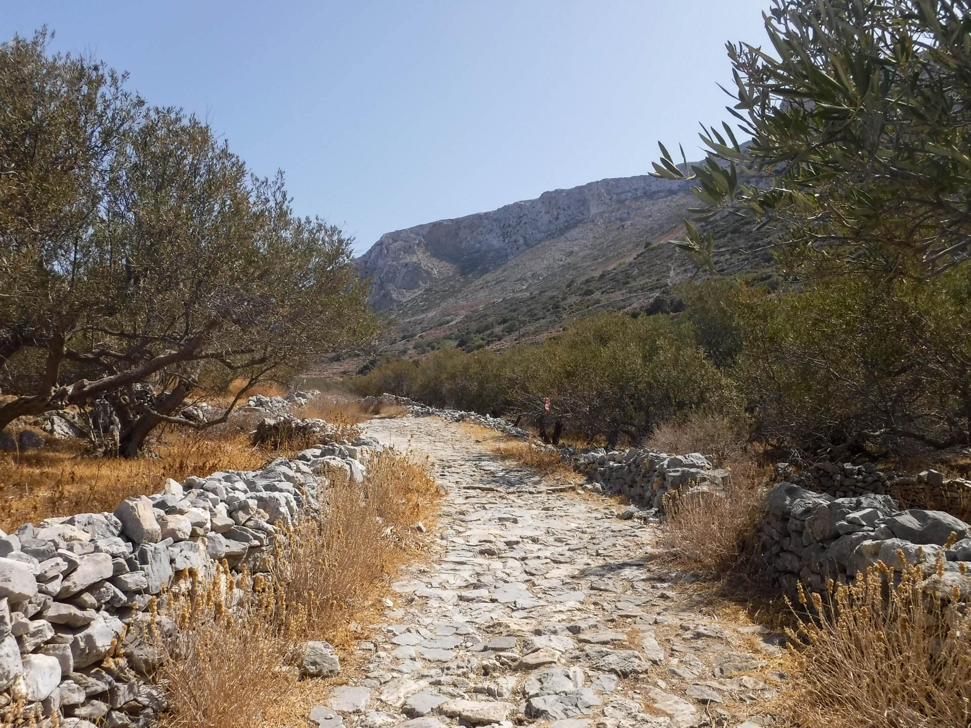 trail