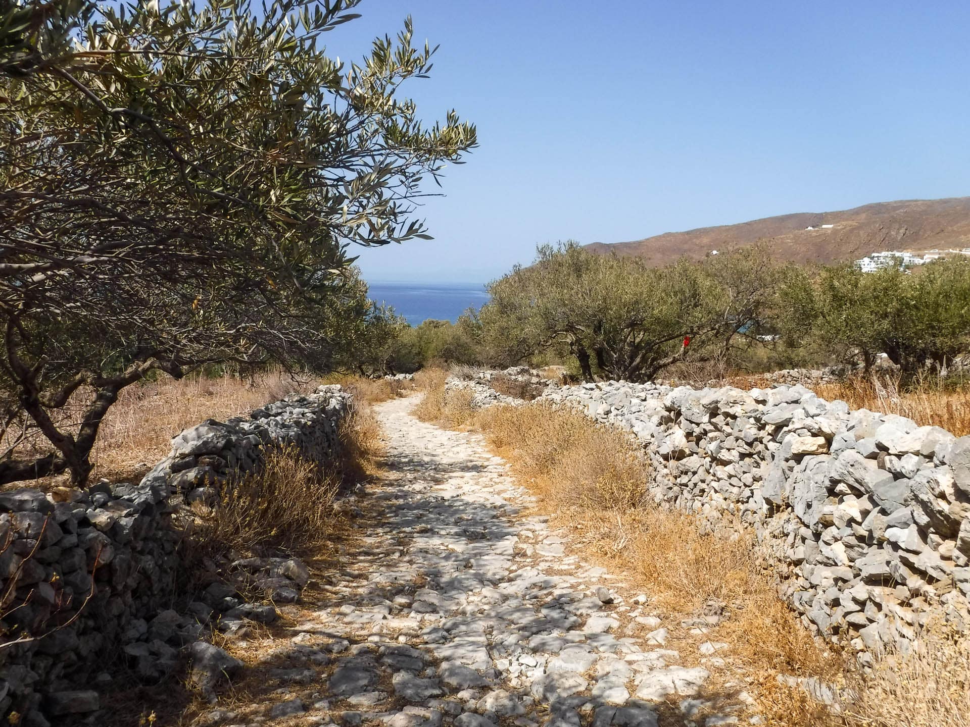 trail