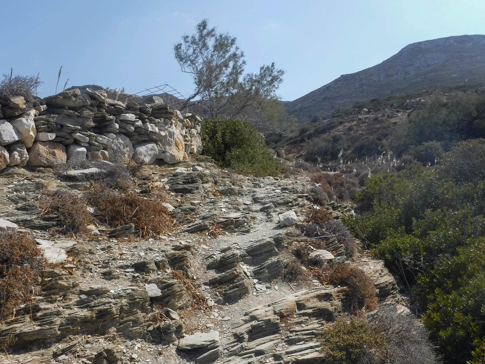 trail view