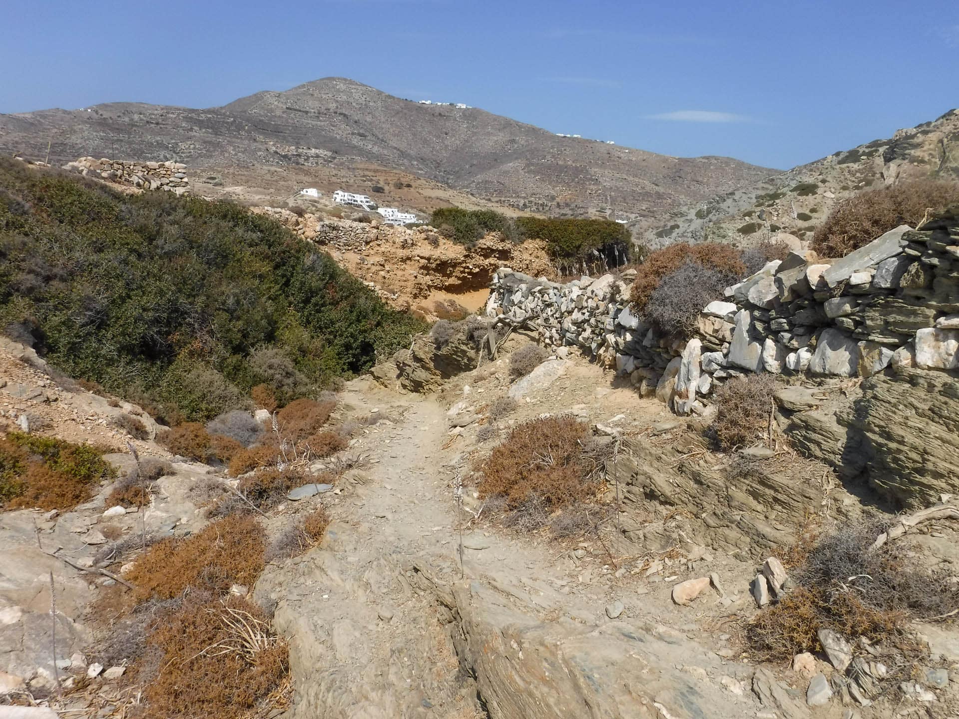 trail view