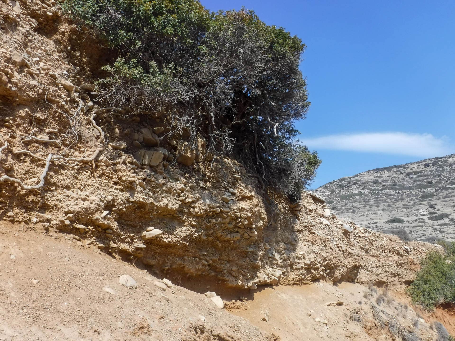 trail view