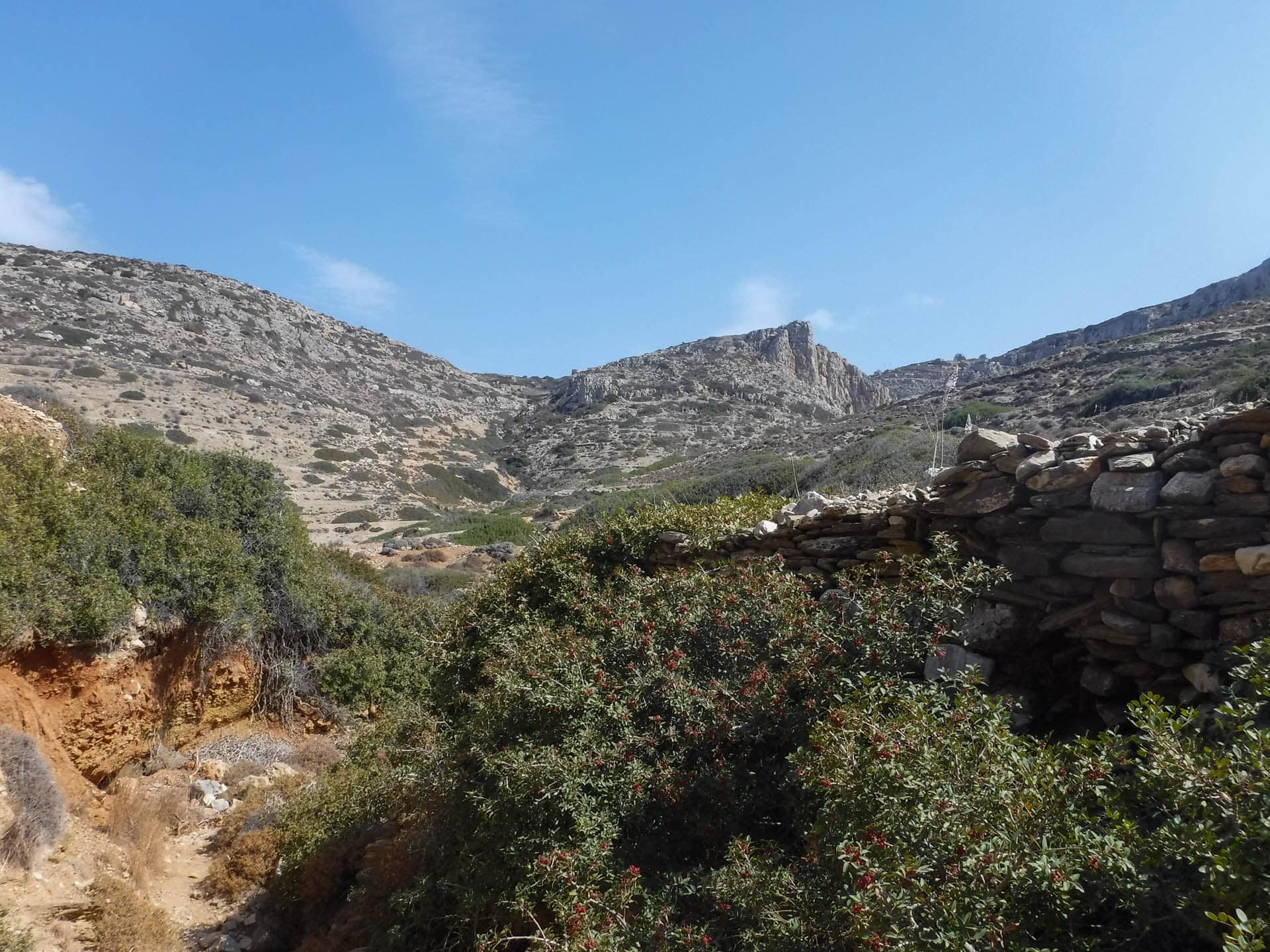 trail view