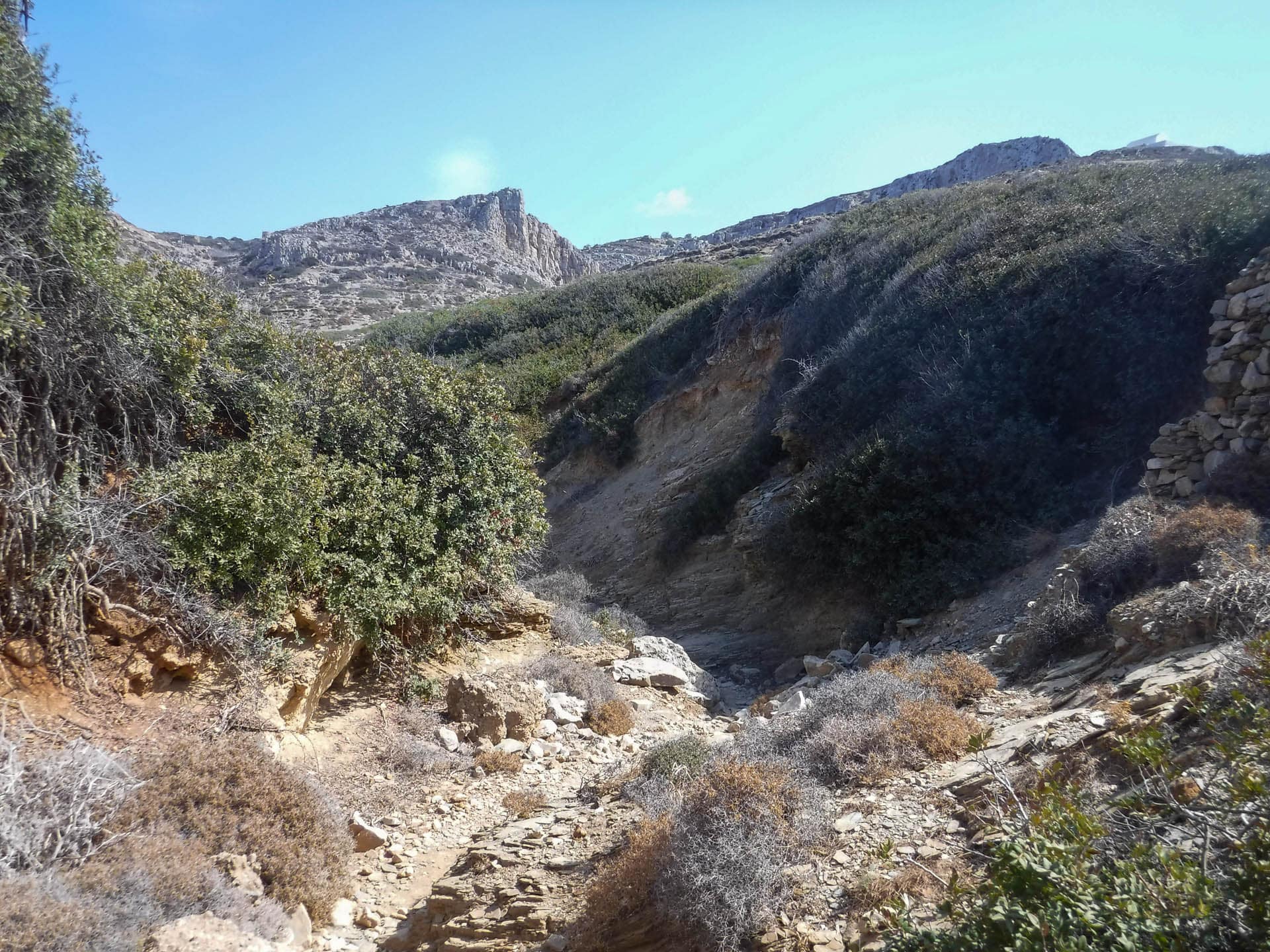 trail view