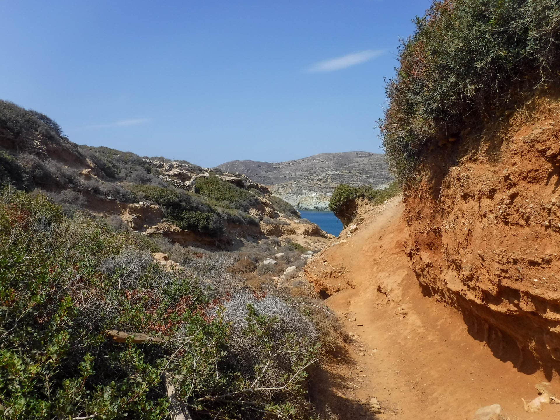 trail view
