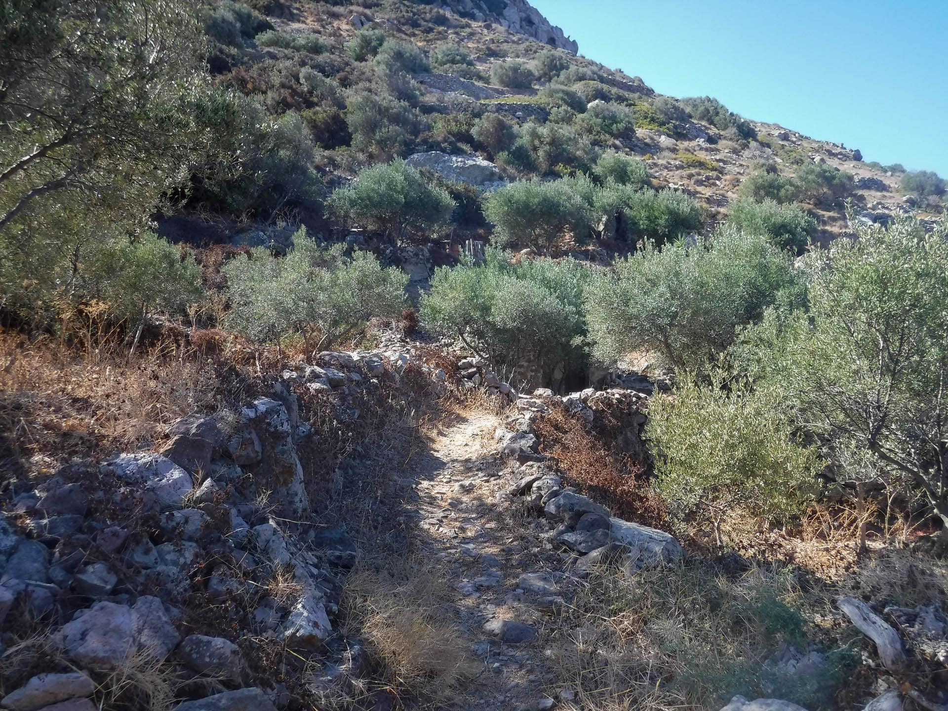 trail to Plathiena