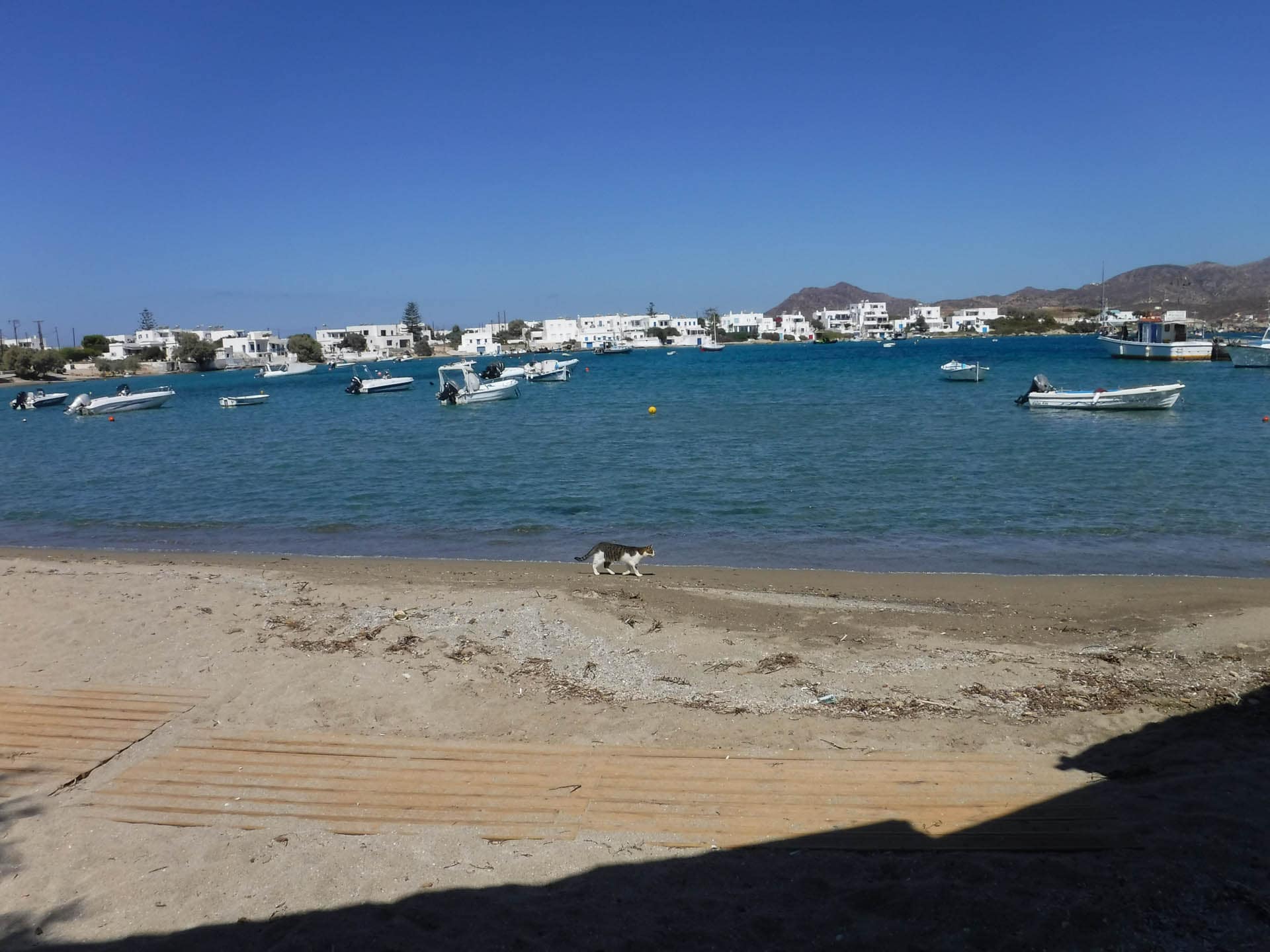 beach at Pollonia