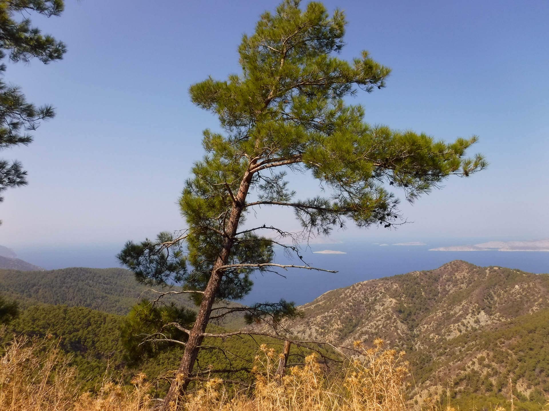 coastal scenery