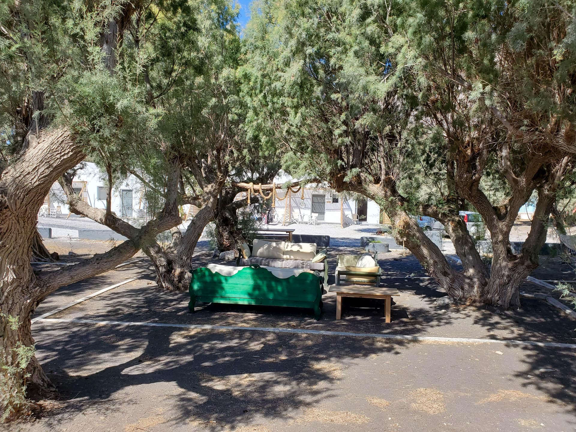 furniture under trees