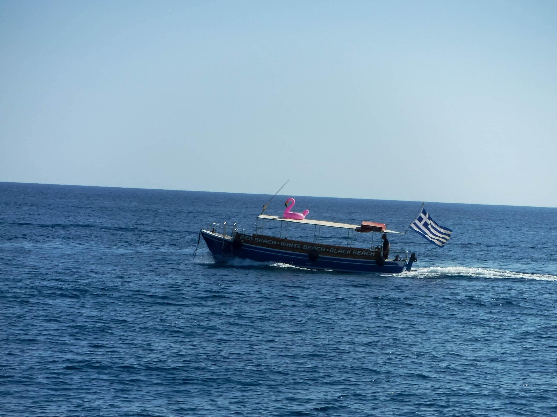 water taxi with flamingo
