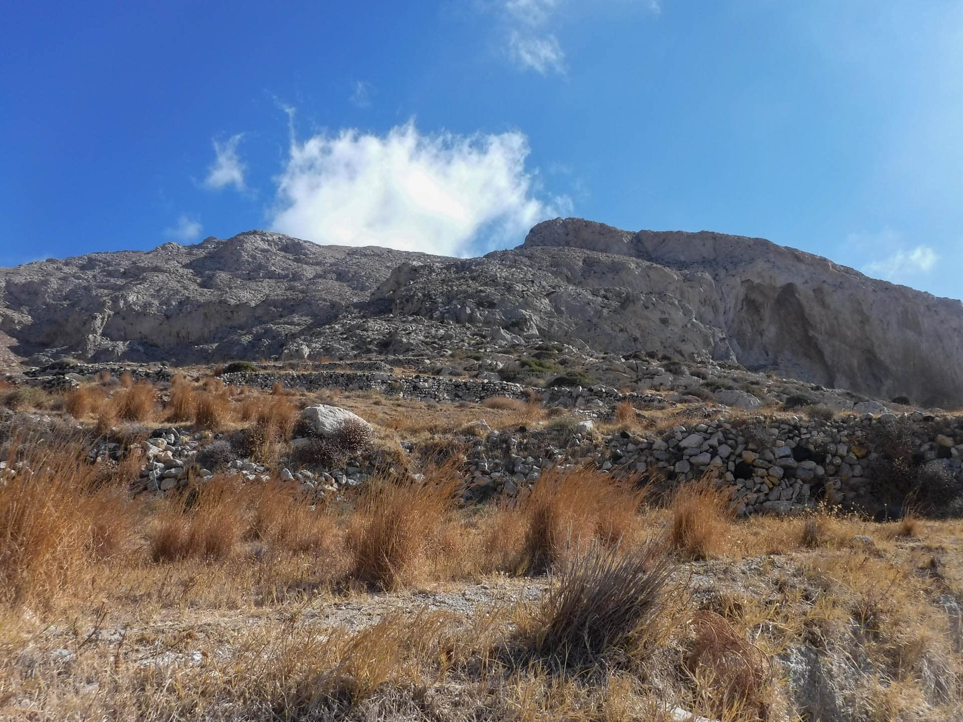 mountain view from trail