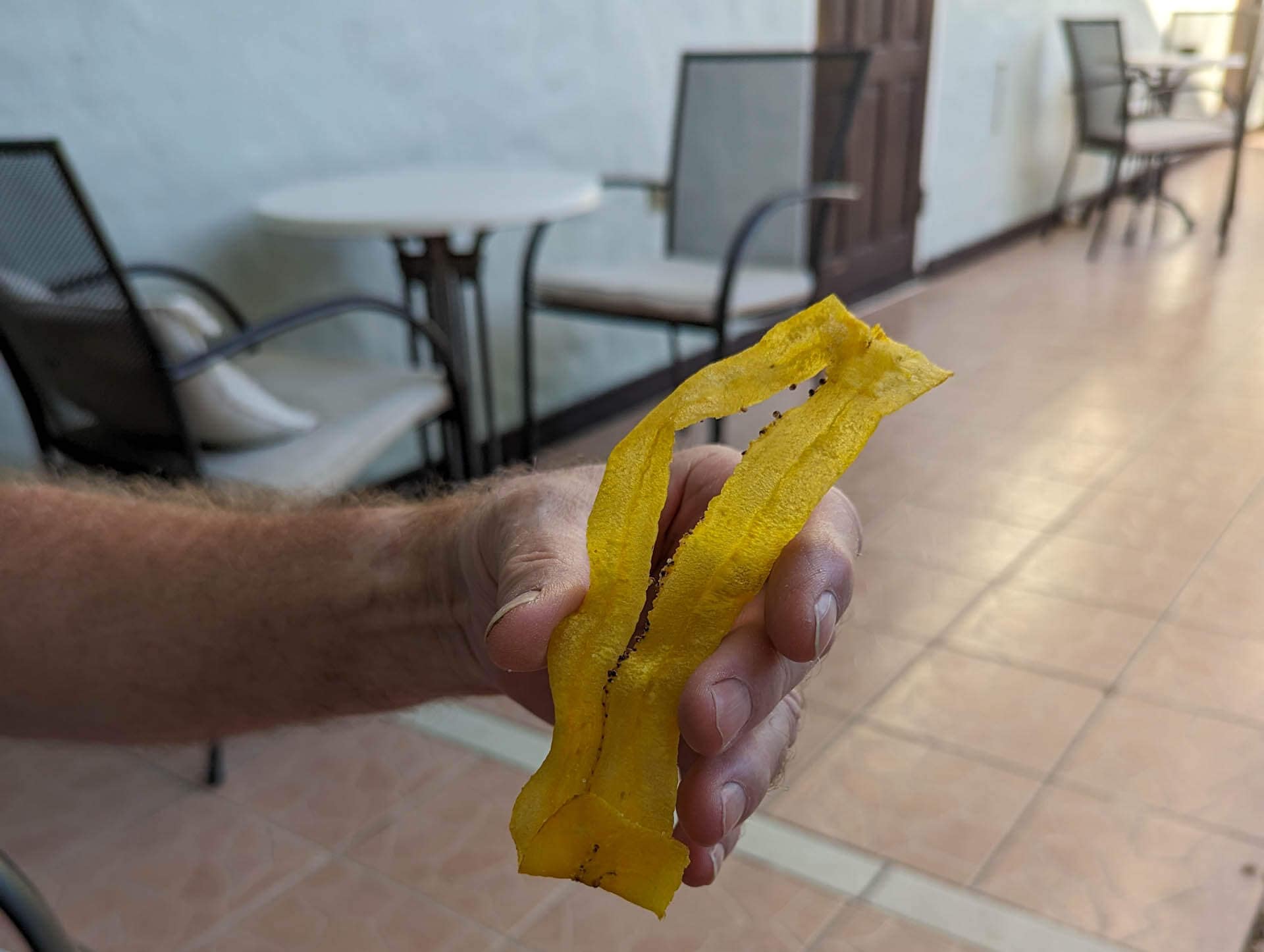plantain chip
