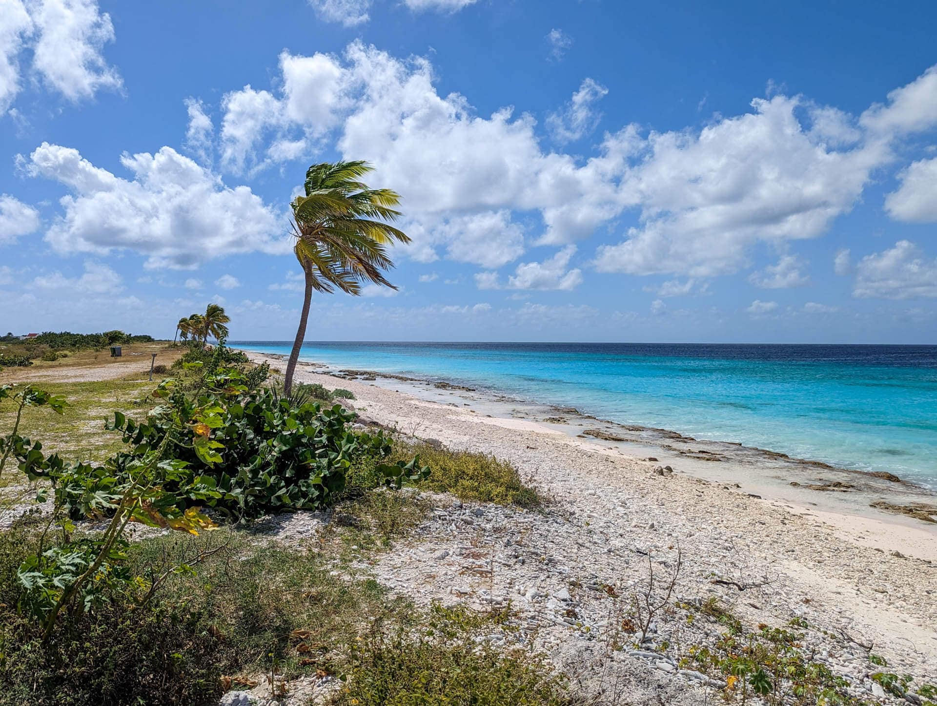 bonaire-beaches-bonaire-1streetover-travel-blog