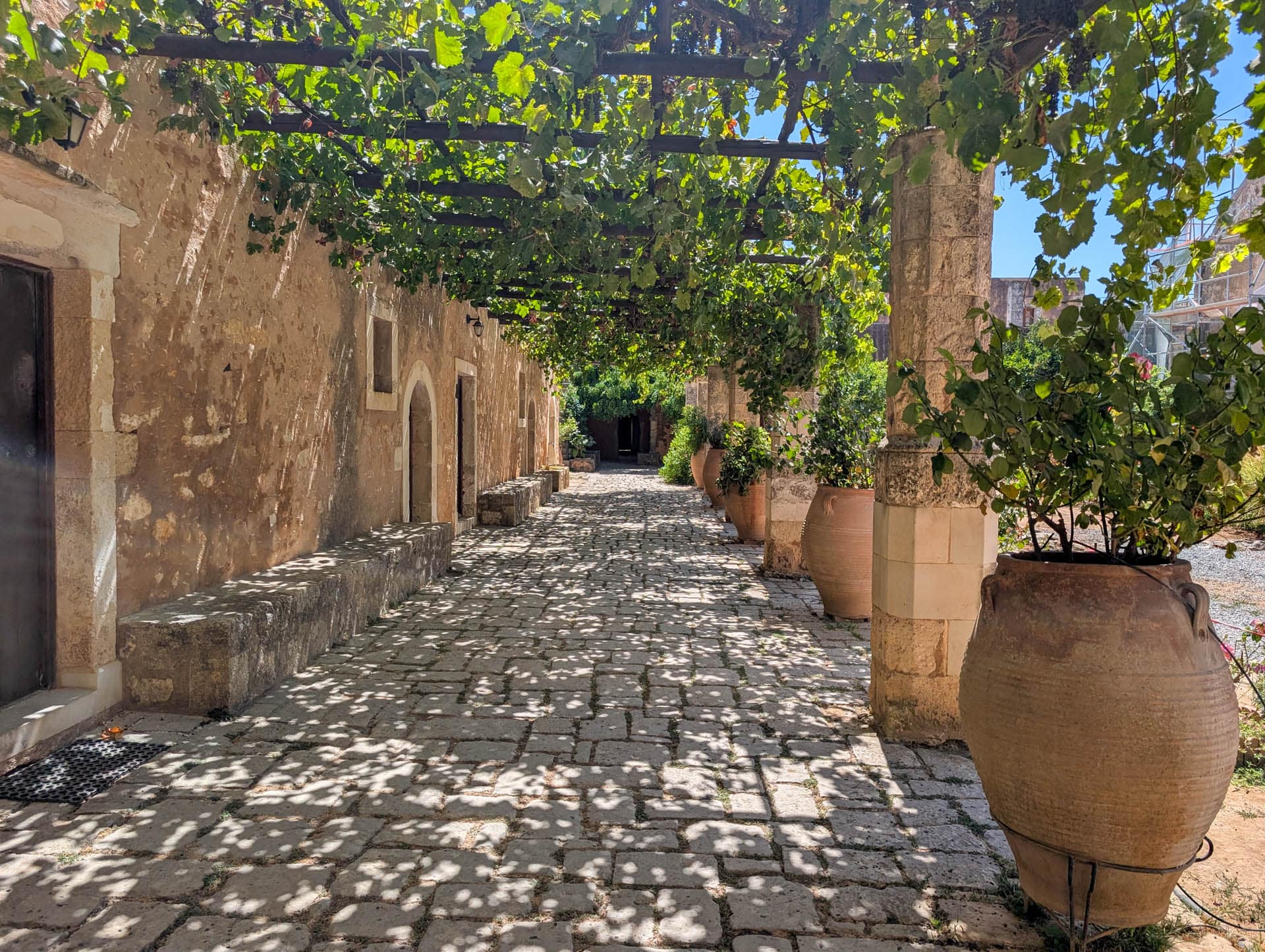 cloister with grape vines