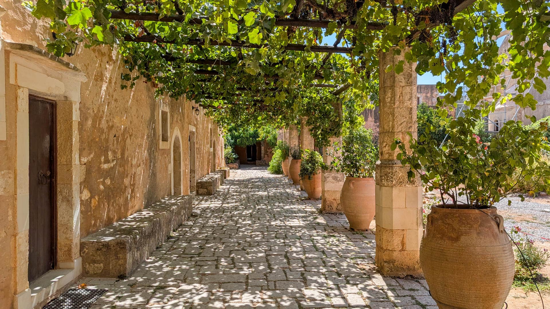 cloister with grape vines