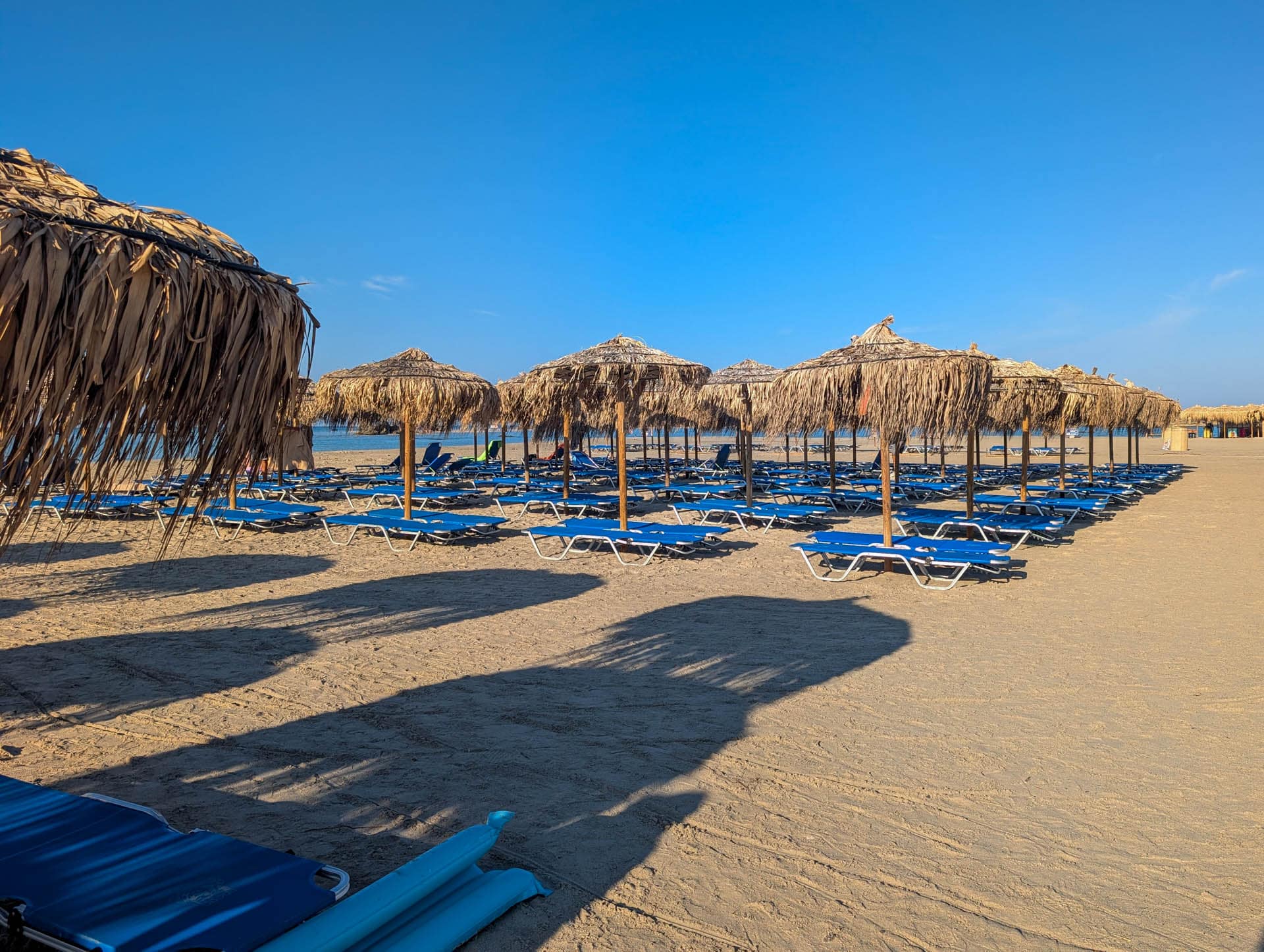 lines of umbrellas and sunbeds