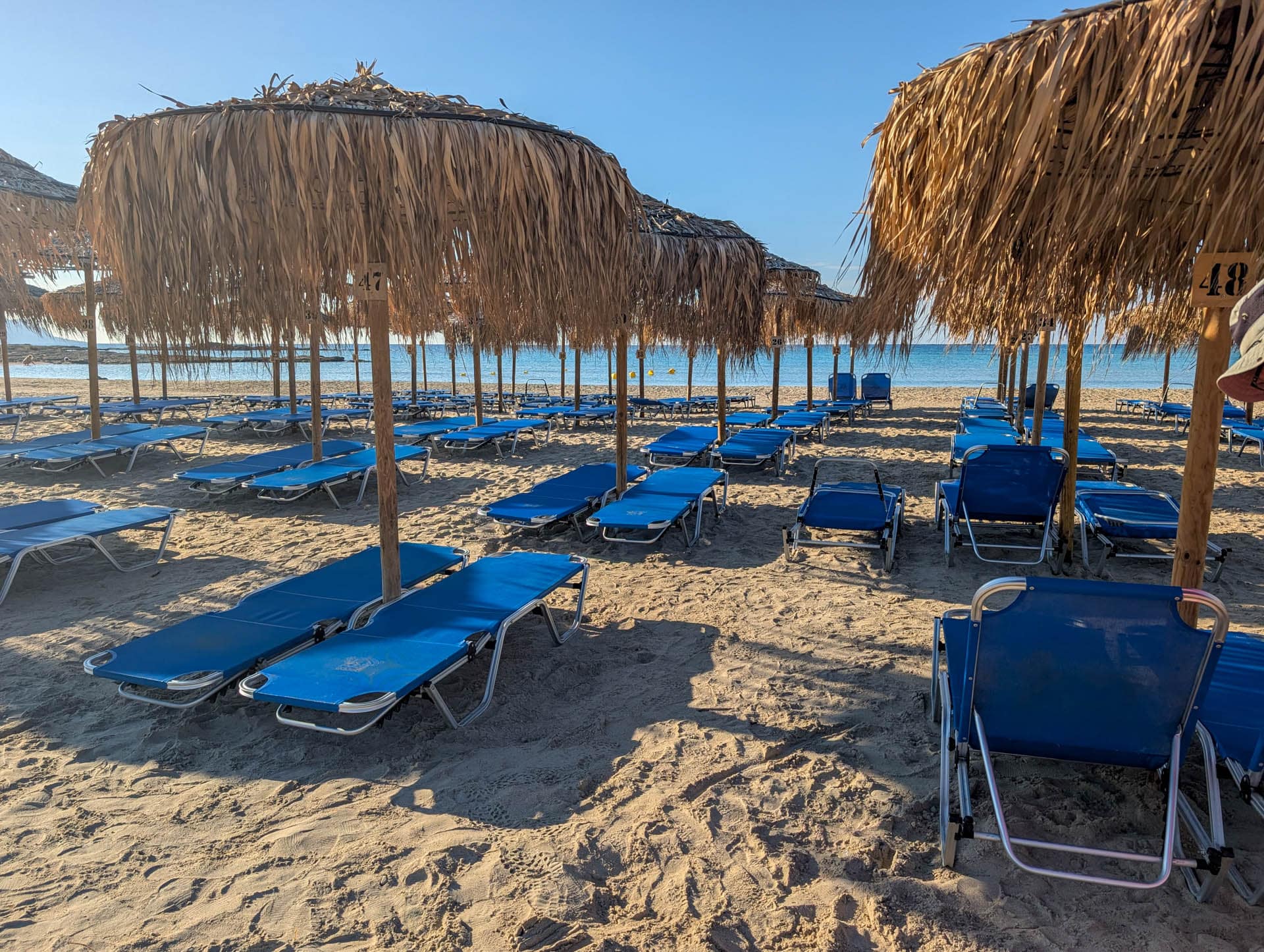 view from a back row sunbed