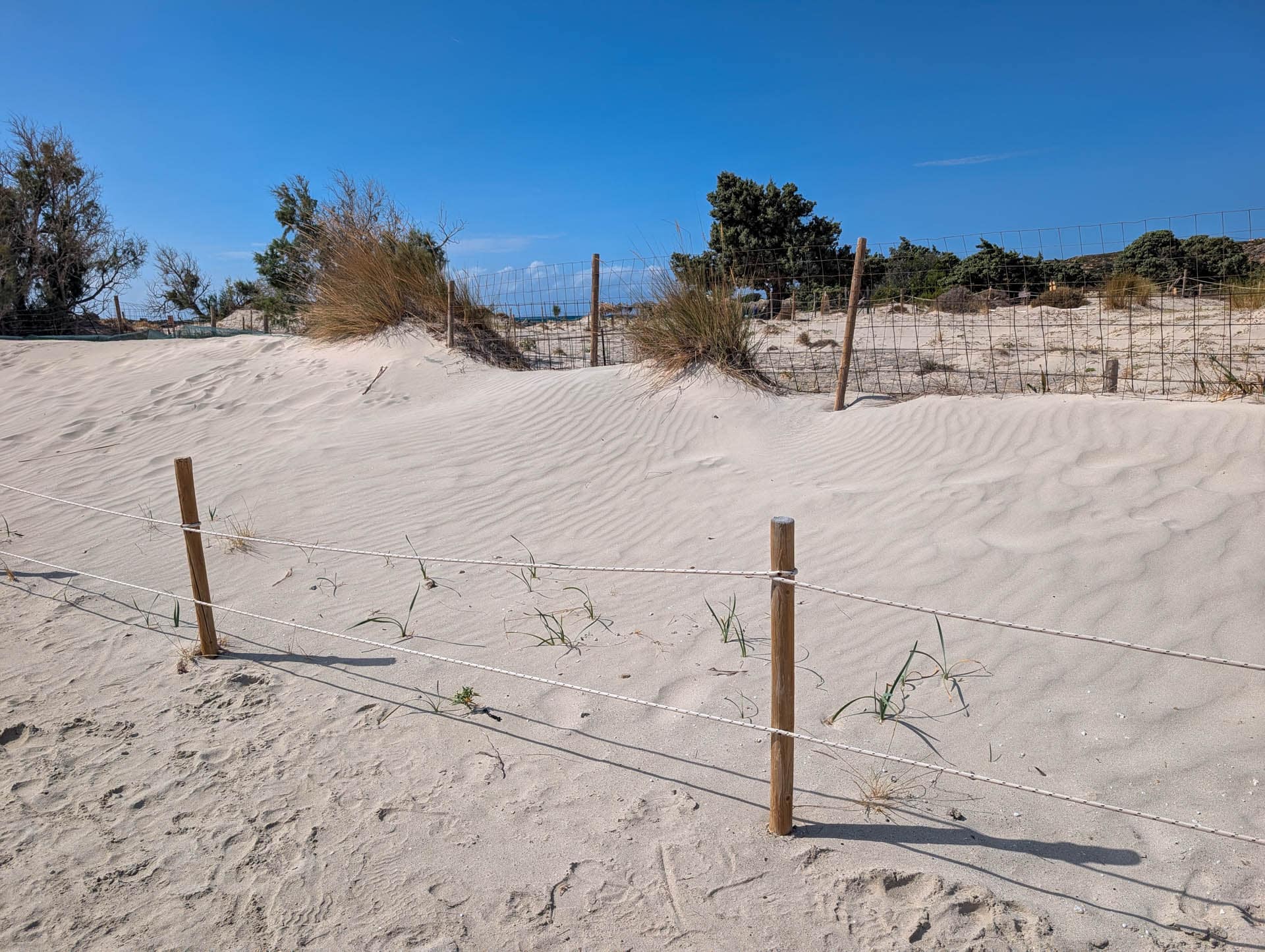 sand dunes and fence