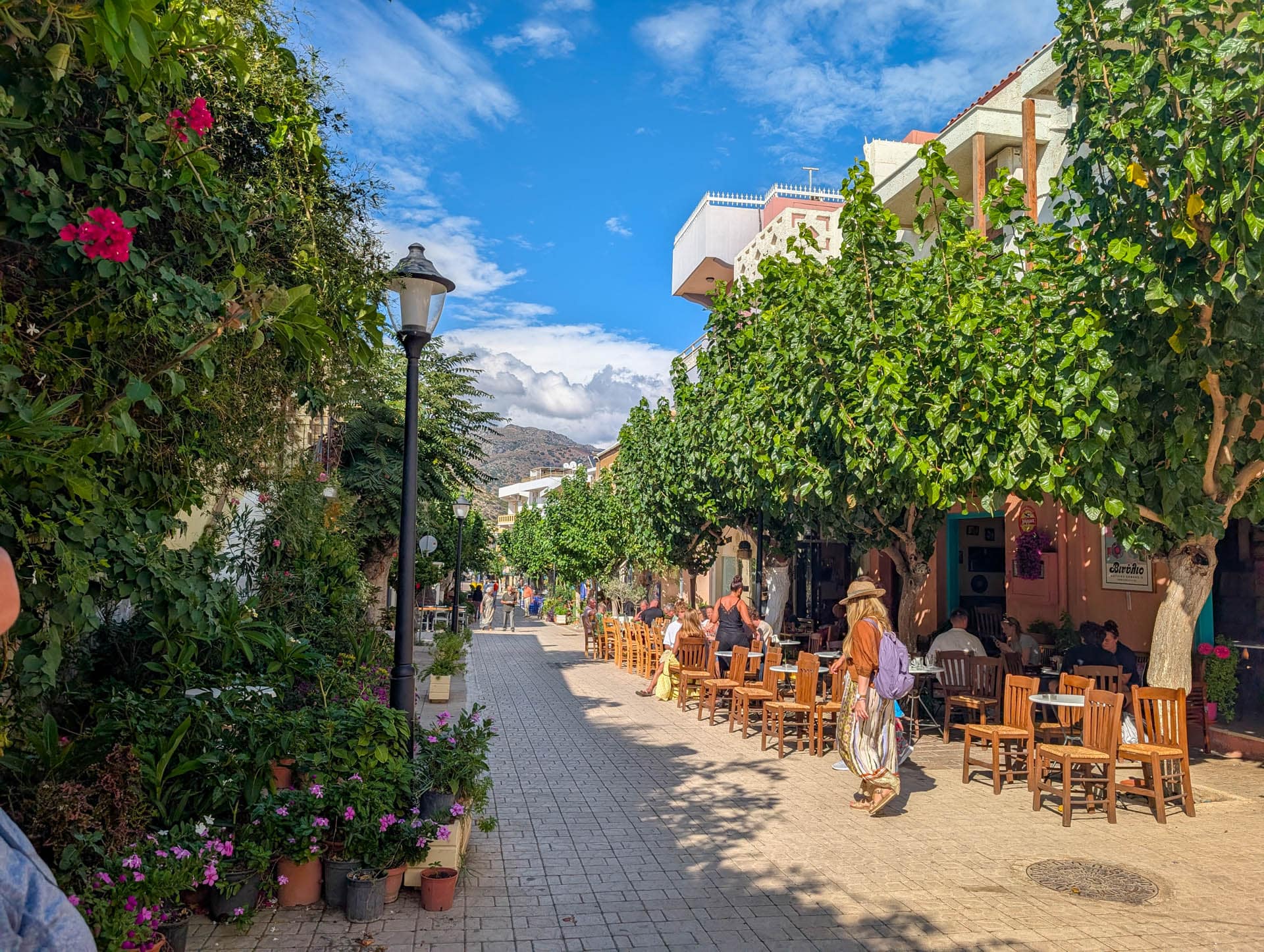 street cafes with trees