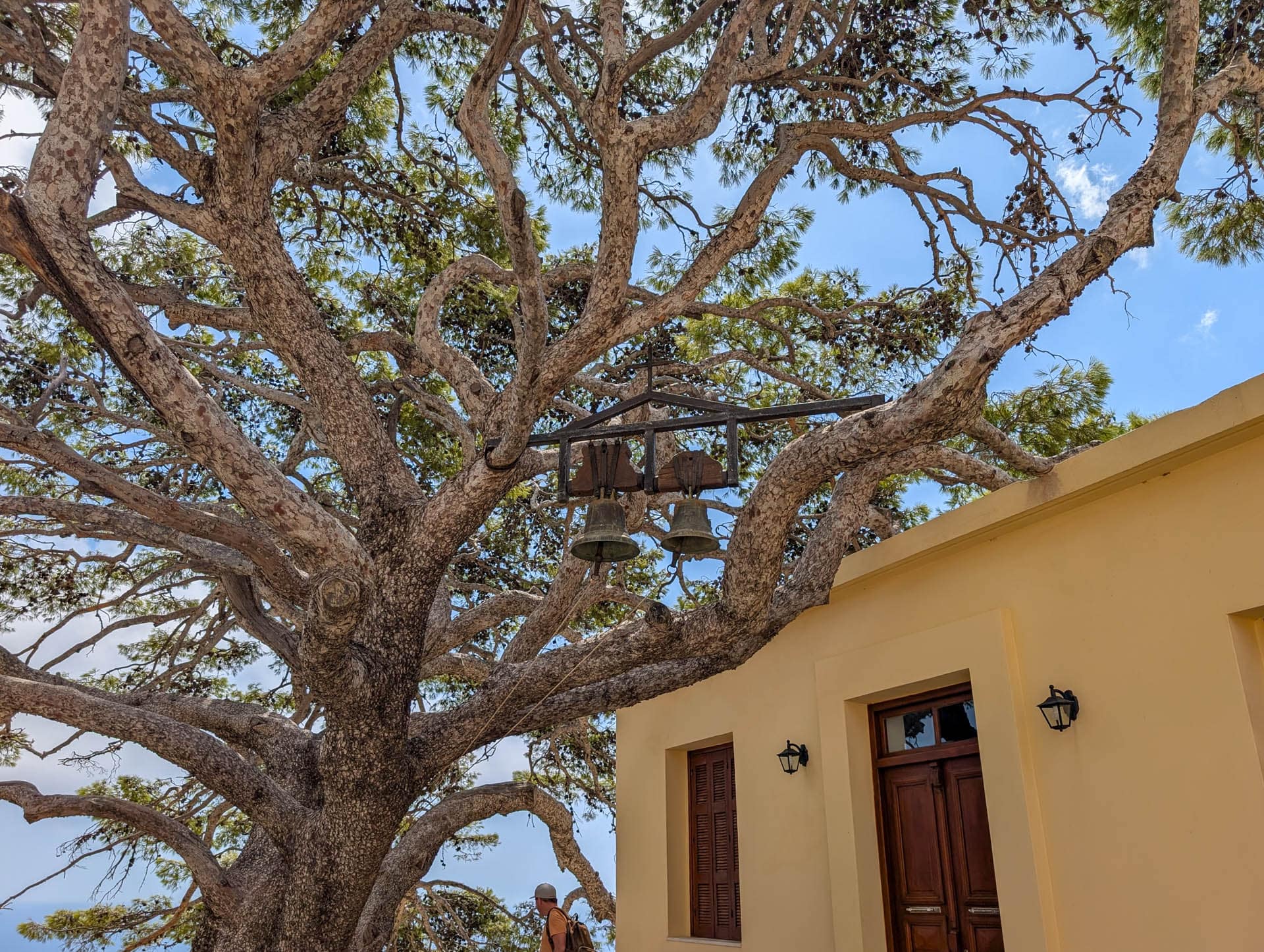 bells hanging in tree